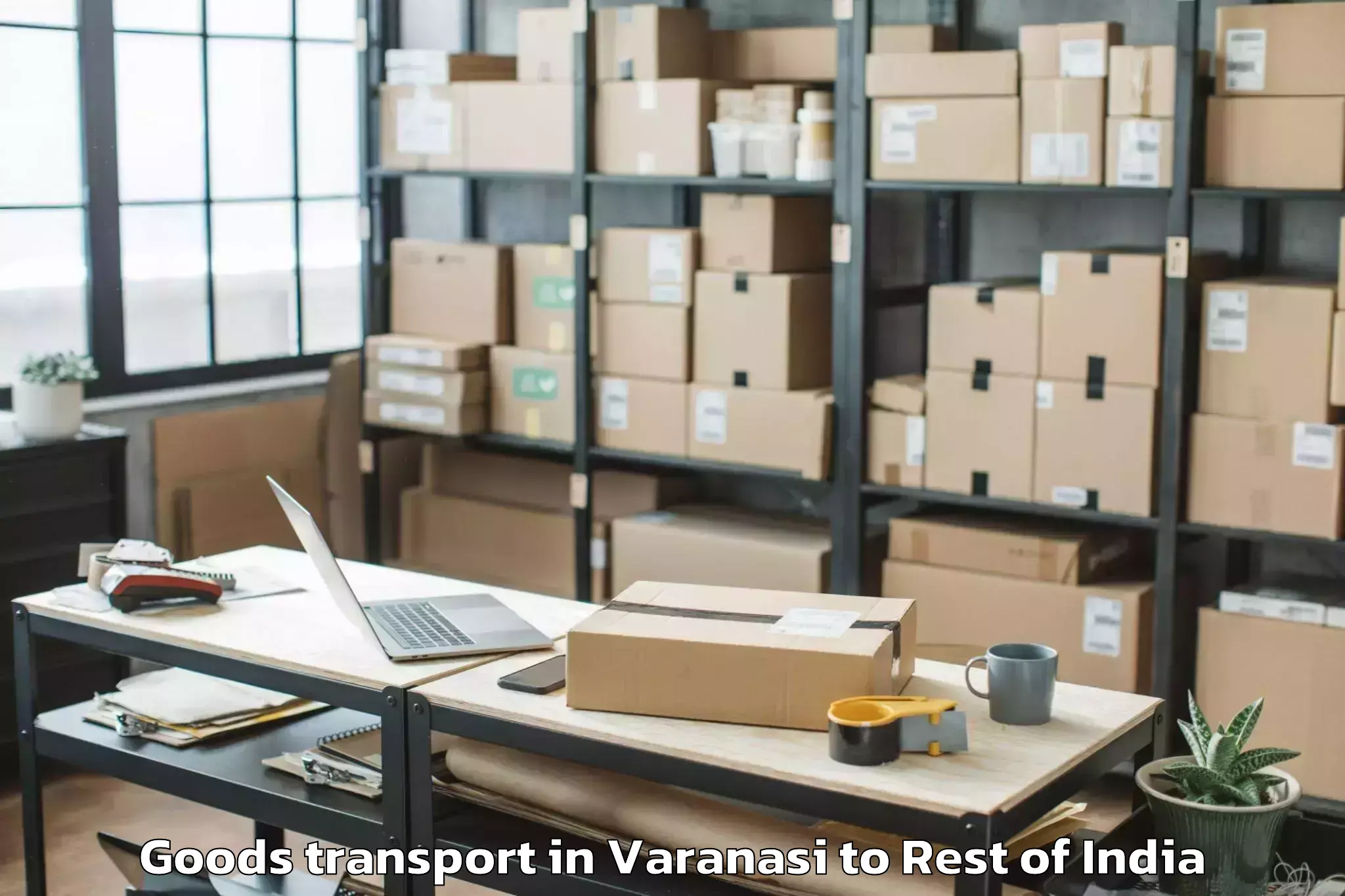 Trusted Varanasi to Kokernag Goods Transport